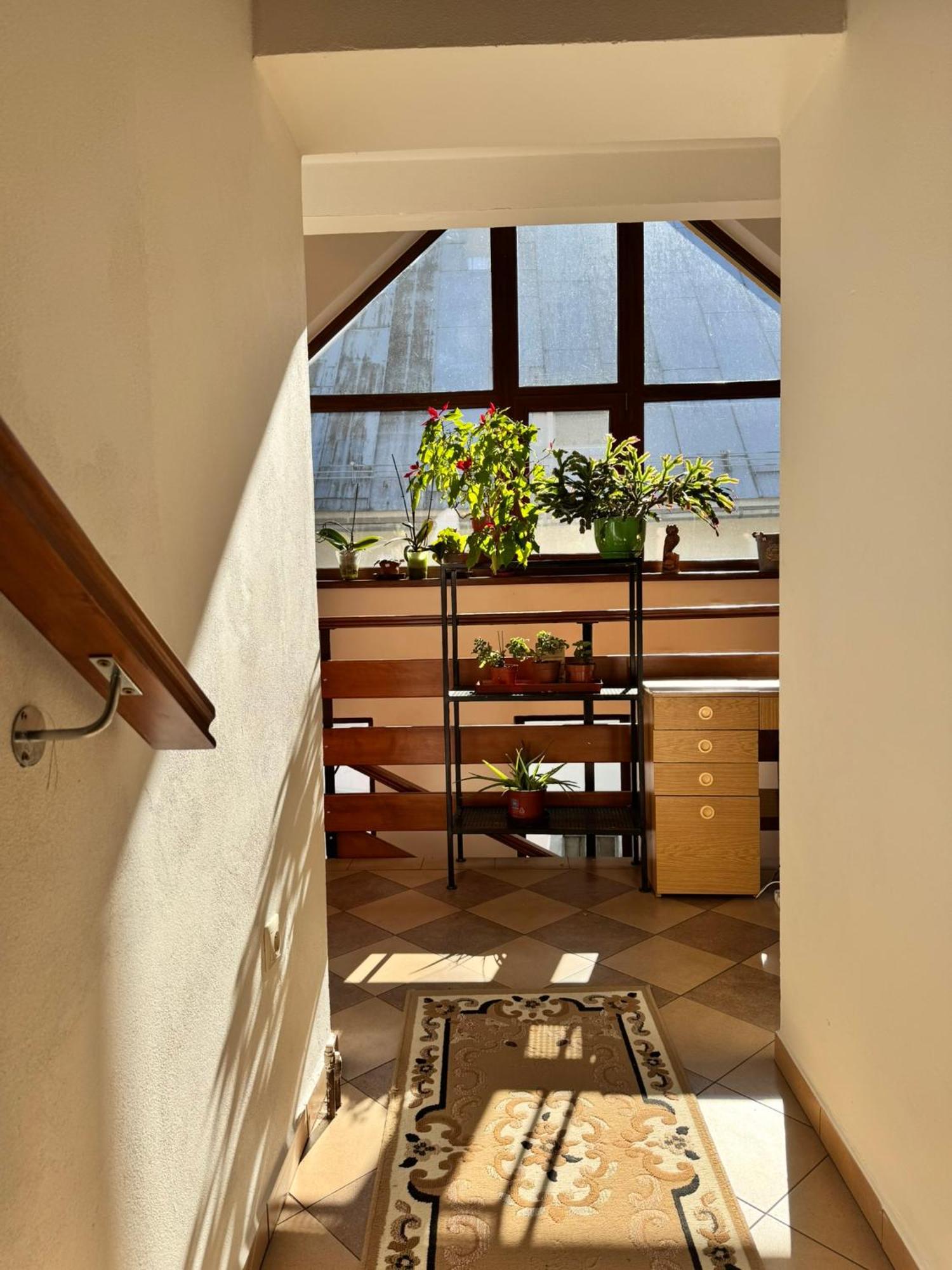 Apartmany Kenka Spisska Stara Ves Dış mekan fotoğraf